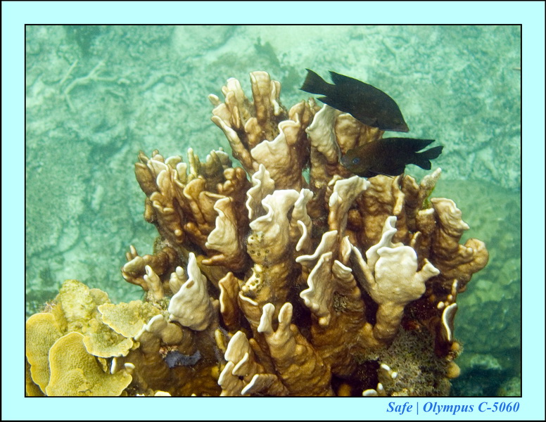 2008 - 07 - Perhentian - 052